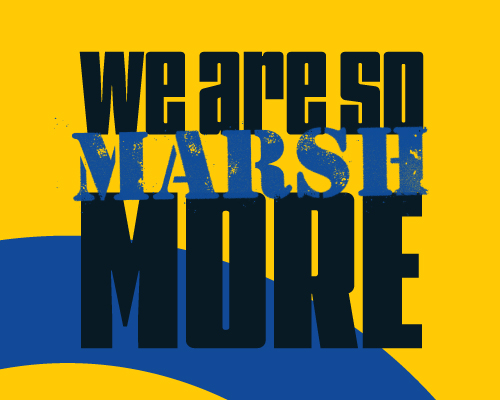 Case-Study-Marsh